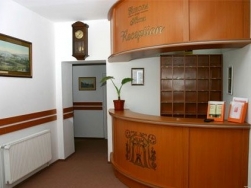 Hotel Europa - Odorheiu Secuiesc - poza 2 - travelro